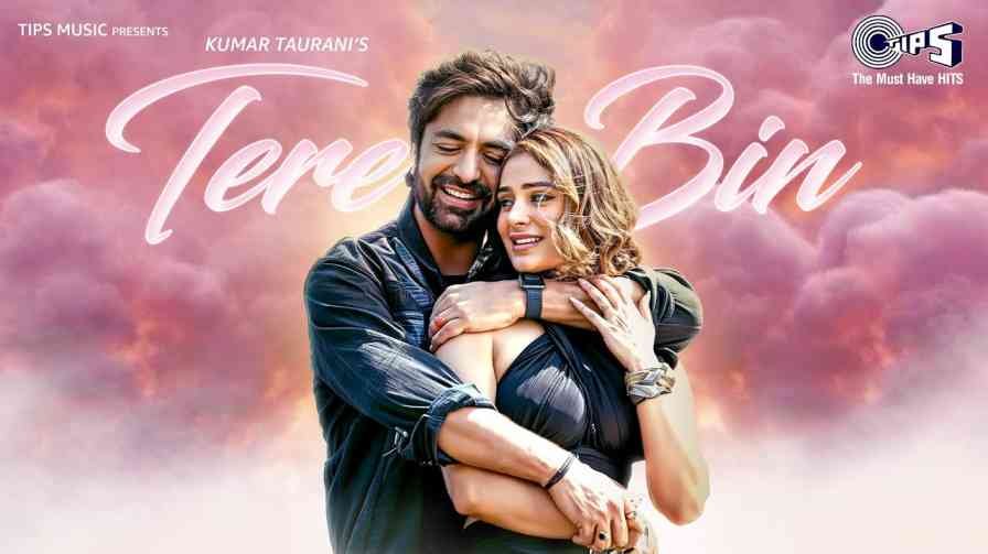 Tere Bin Song Lyrics