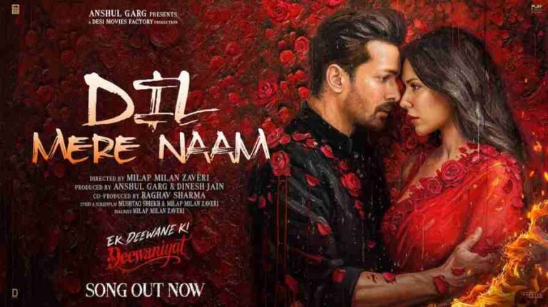 Dil Mere Naam Song Lyrics