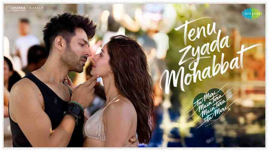 Tenu Zyada Mohabbat Song Lyrics